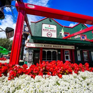 Outdoor view of Katie Dalys exterior. The pub is green, with red accents. Flanked by red and white flowers. 